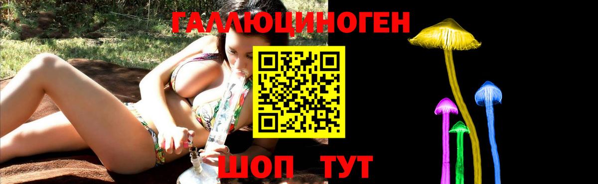 Псилоцибиновые грибы Psilocybe  Вход с VPN  Геленджик 